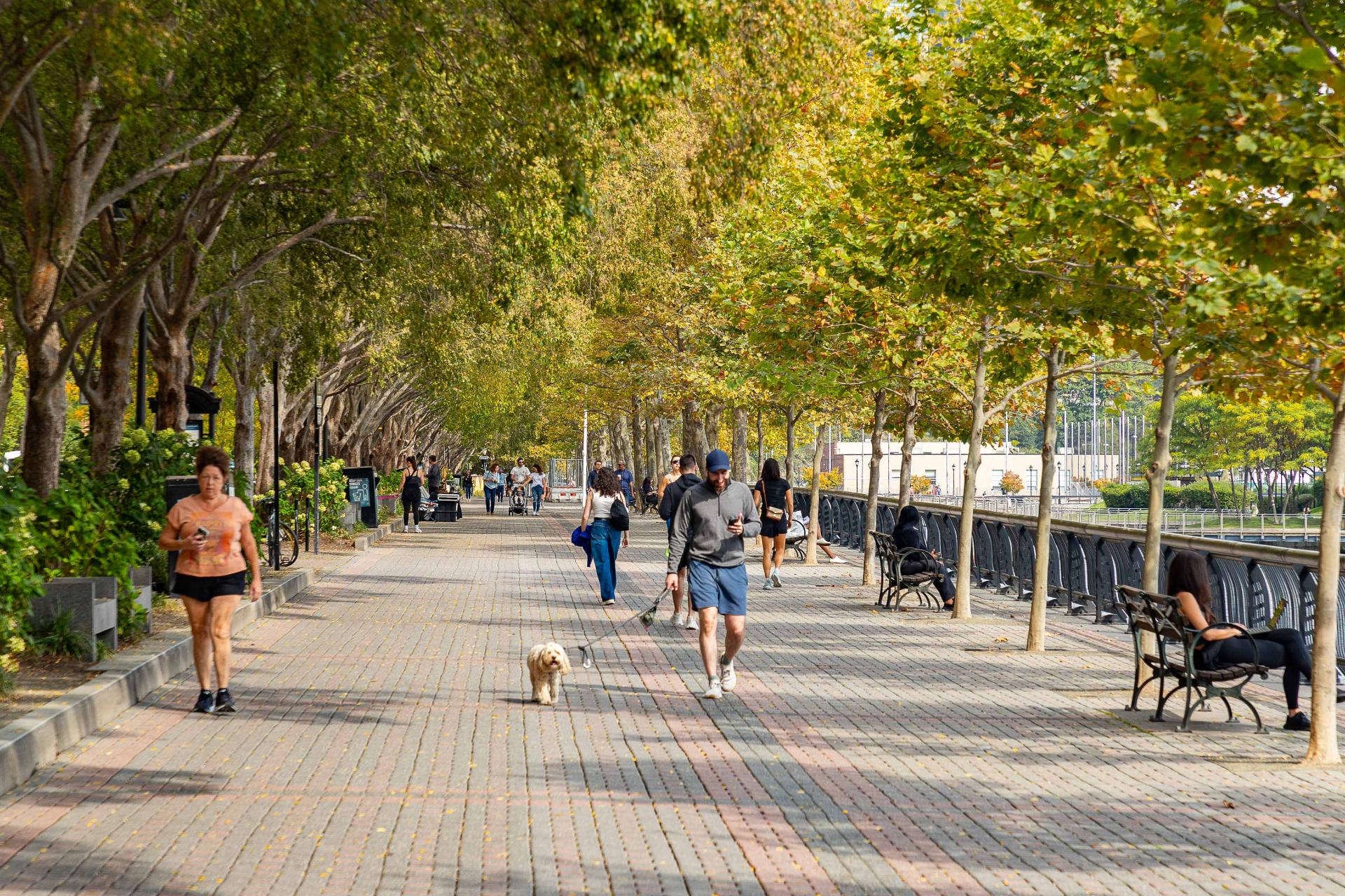 People walking in park